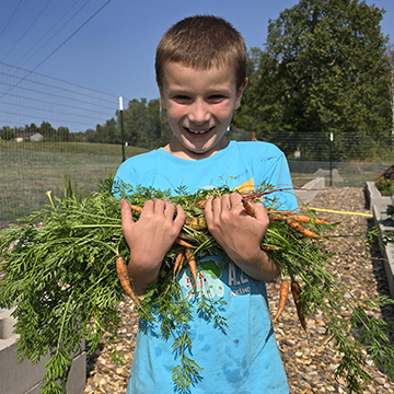 Happy male student holding a bunch of freshly picked carrots