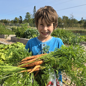 Male student smiling and holding a bunch of freshly picked carrots